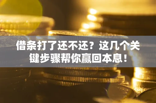 武汉借条打了还不还？这几个关键步骤帮你赢回本息！