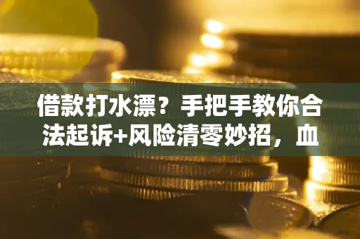 武汉借款打水漂？手把手教你合法起诉+风险清零妙招，血泪教训换来的干货！