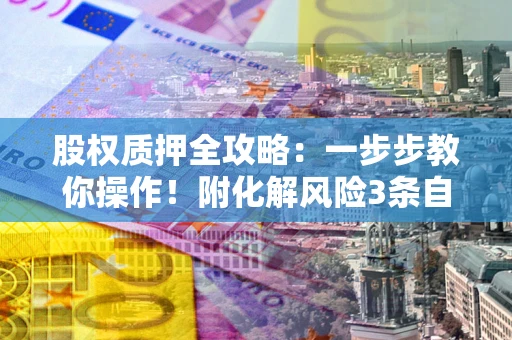 武汉股权质押全攻略：一步步教你操作！附化解风险3条自救法则