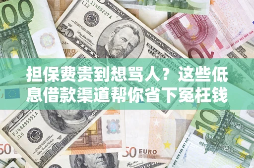 武汉担保费贵到想骂人？这些低息借款渠道帮你省下冤枉钱