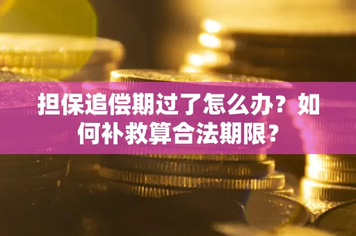 武汉担保追偿期过了怎么办？如何补救算合法期限？