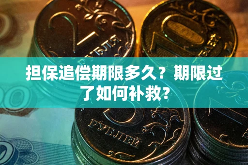 武汉担保追偿期限多久？期限过了如何补救？