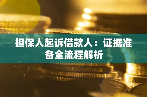 武汉担保人起诉借款人：证据准备全流程解析