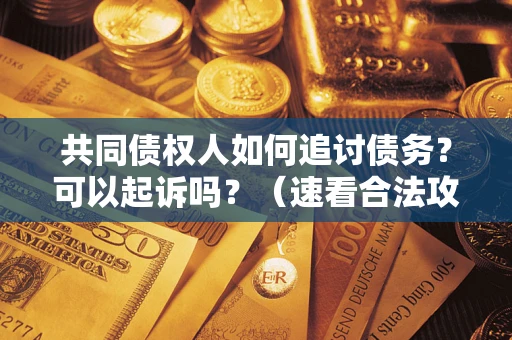 武汉共同债权人如何追讨债务？可以起诉吗？（速看合法攻略）