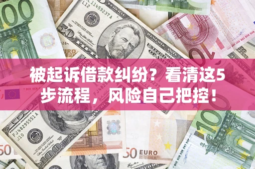 武汉被起诉借款纠纷？看清这5步流程，风险自己把控！
