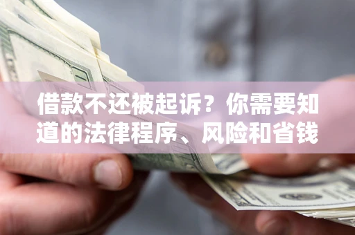 武汉借款不还被起诉？你需要知道的法律程序、风险和省钱技巧
